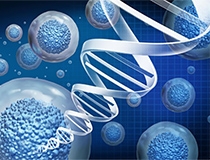 Regenerative Medicine to Preserve Native Hip Anatomy